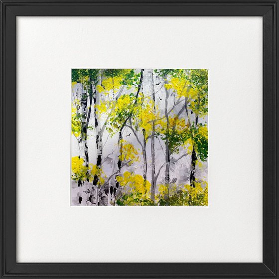 Seasons- Spring Silver Birches