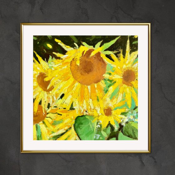 Abstract garden sunflowers