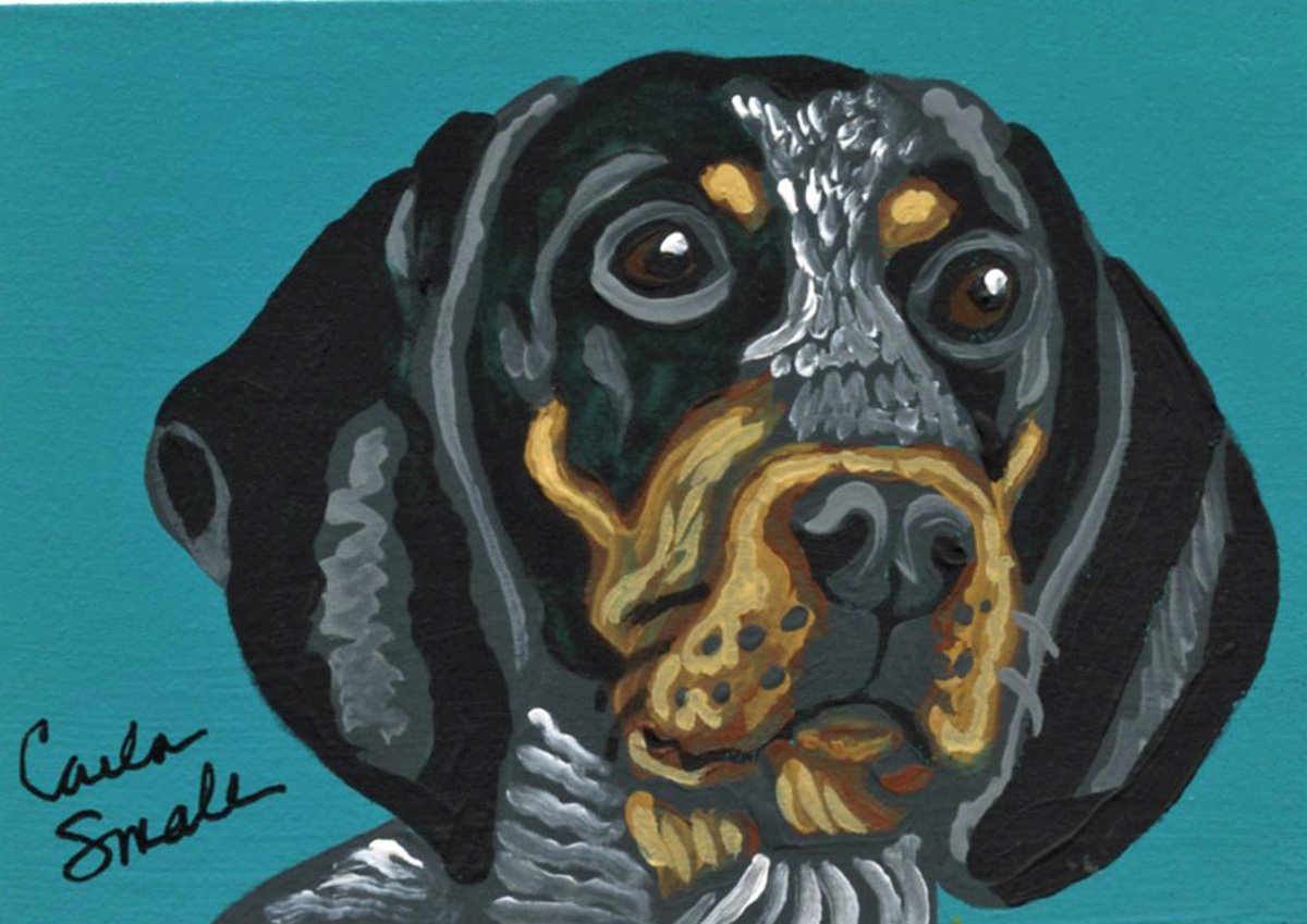 Blue Tick Hound by Carla Smale