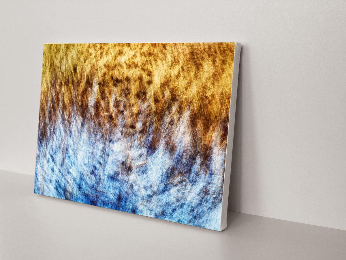 Abstract Landscape Photograph By Karim Carella, 45 X 31", Lake Grass (Studio 5), Original Artwork