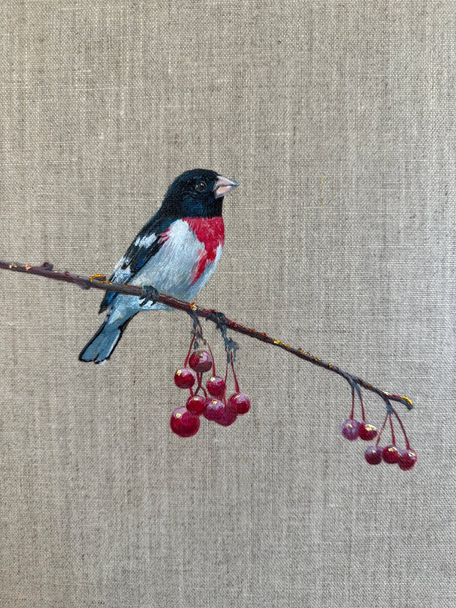 Illustrative Animal Acrylic Painting By Hannah Bruce, 12 X 24, Rose Breasted Grosbeak On Linen, Original Artwork