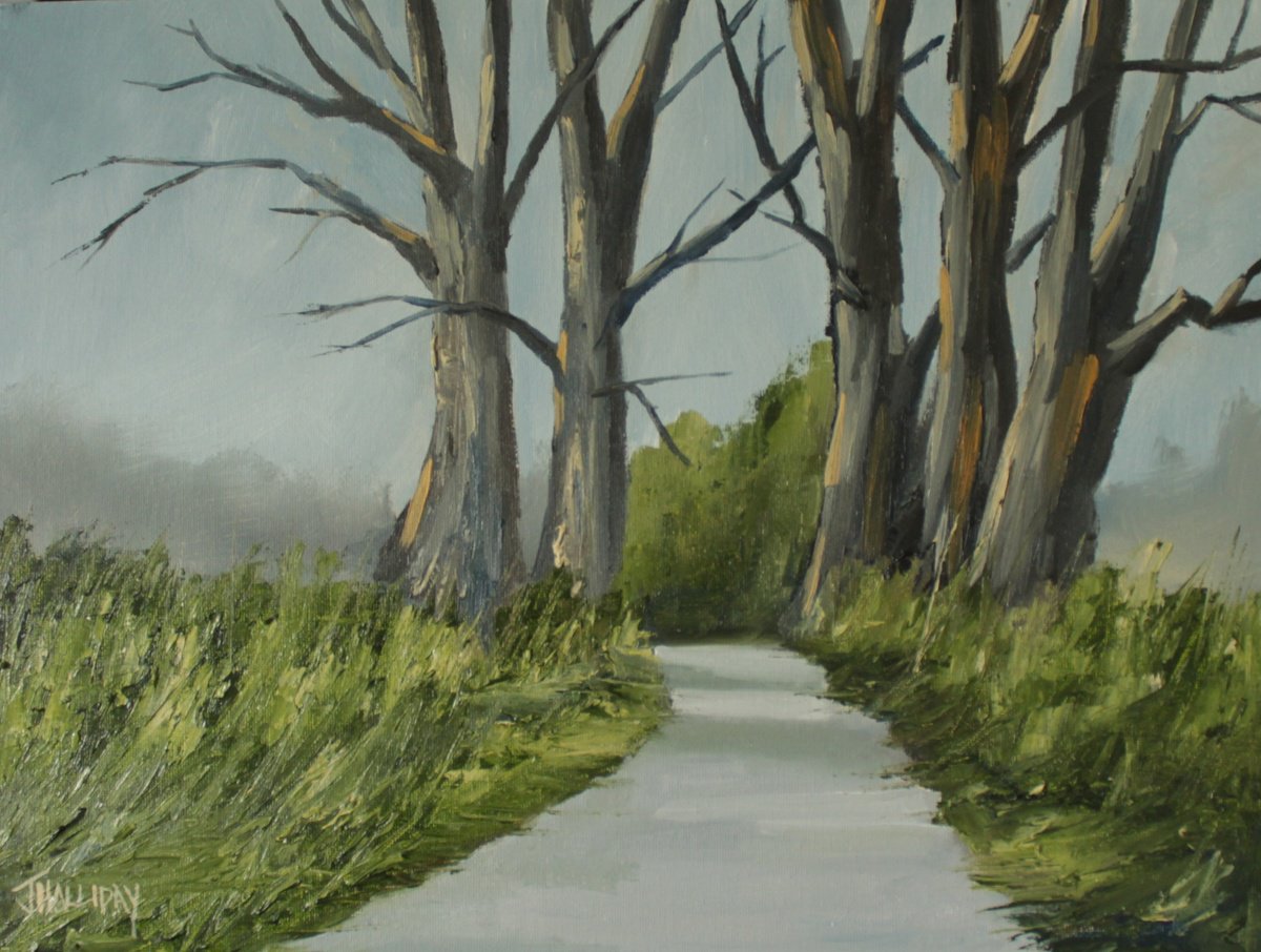 Lane in spring light by John Halliday