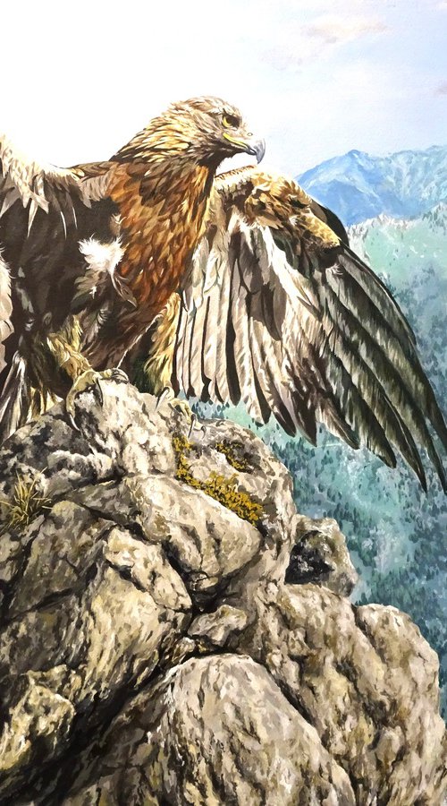 Royal Eagle by Julian Wheat