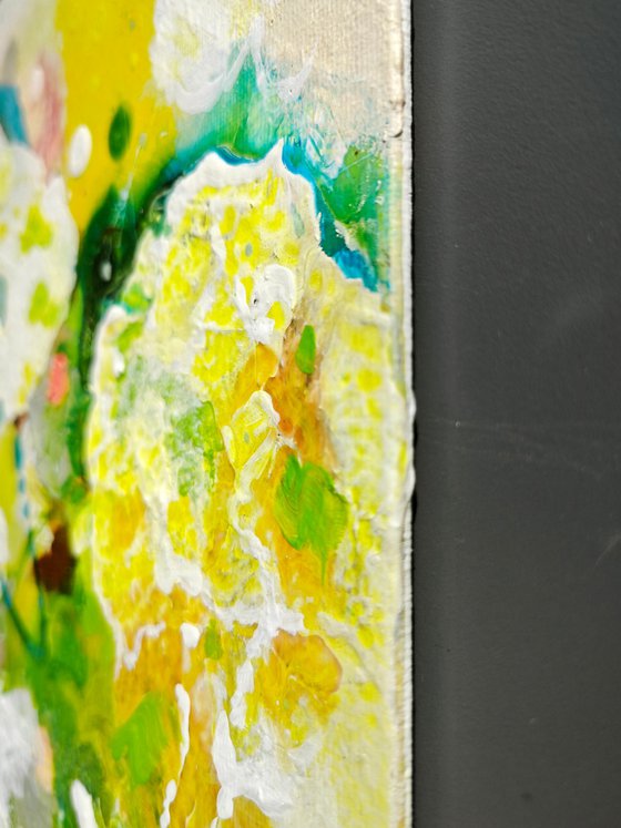 Tender Springlight N°1