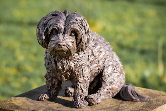Maltese Terrier 2 Bronze Resin