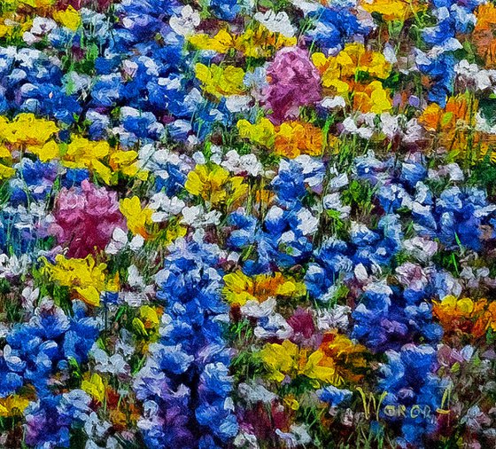 A Field of Flowers.