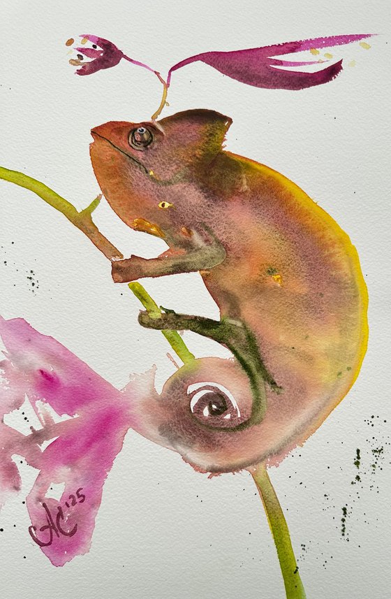 Animal: Chameleon and Frog