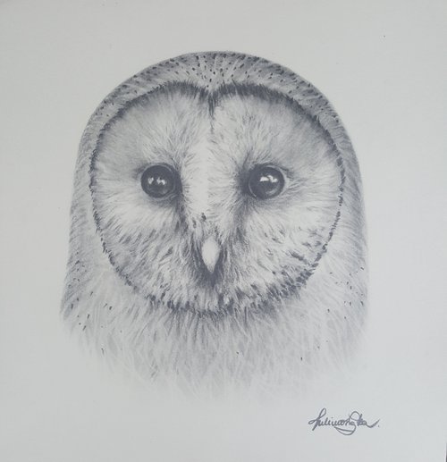 Barn Owl #2 by Maja Tulimowska - Chmielewska