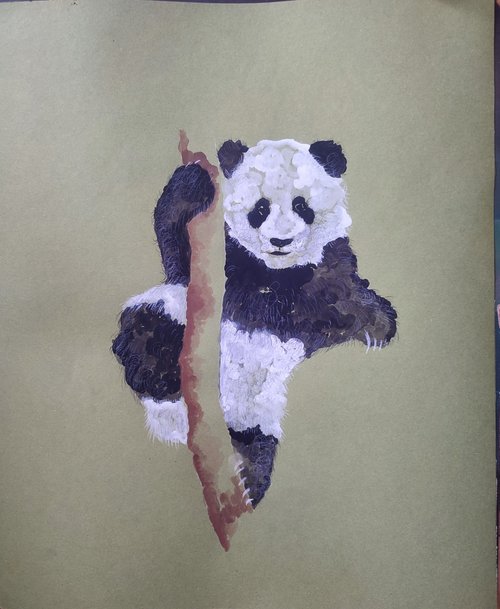 Panda 2 by Kira K. Sadian