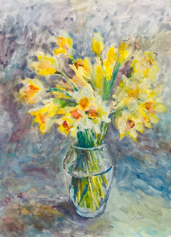 Daffodils 3 2024