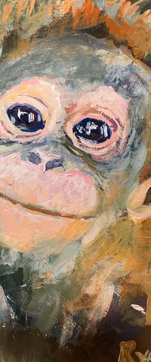 Baby Orangutan by Ryan  Louder