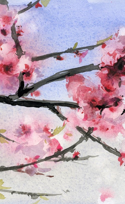 Sakura branch by Tatyana Tokareva
