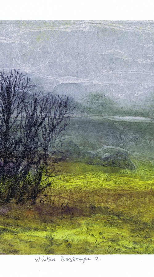 Winter Bogscape 2 -  Ireland by Aidan Flanagan Irish Landscapes