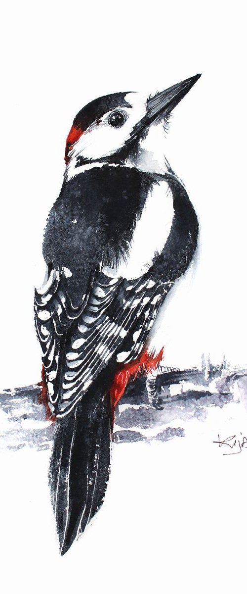 Great woodpecker, wildlife, birds and animals by Karolina Kijak