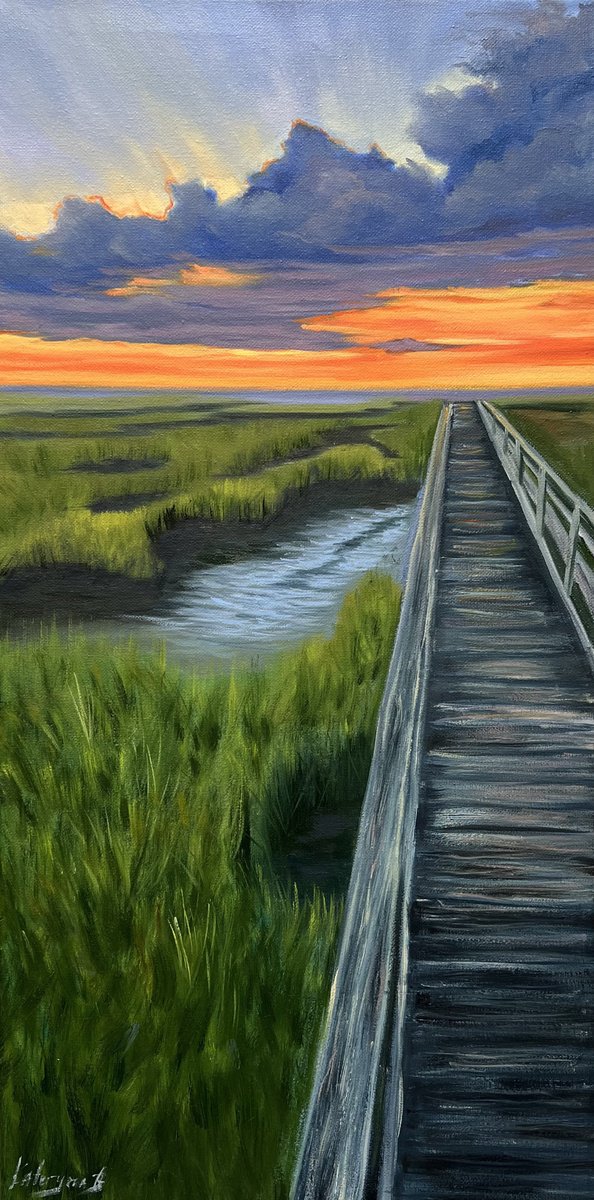 Cape Cod Marshes by Kateryna Boykov