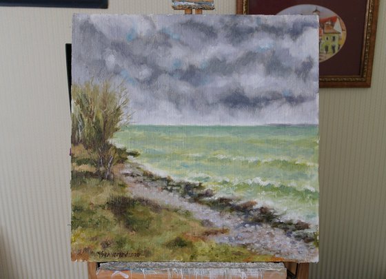 Autumn Coast of the Gulf of Finland