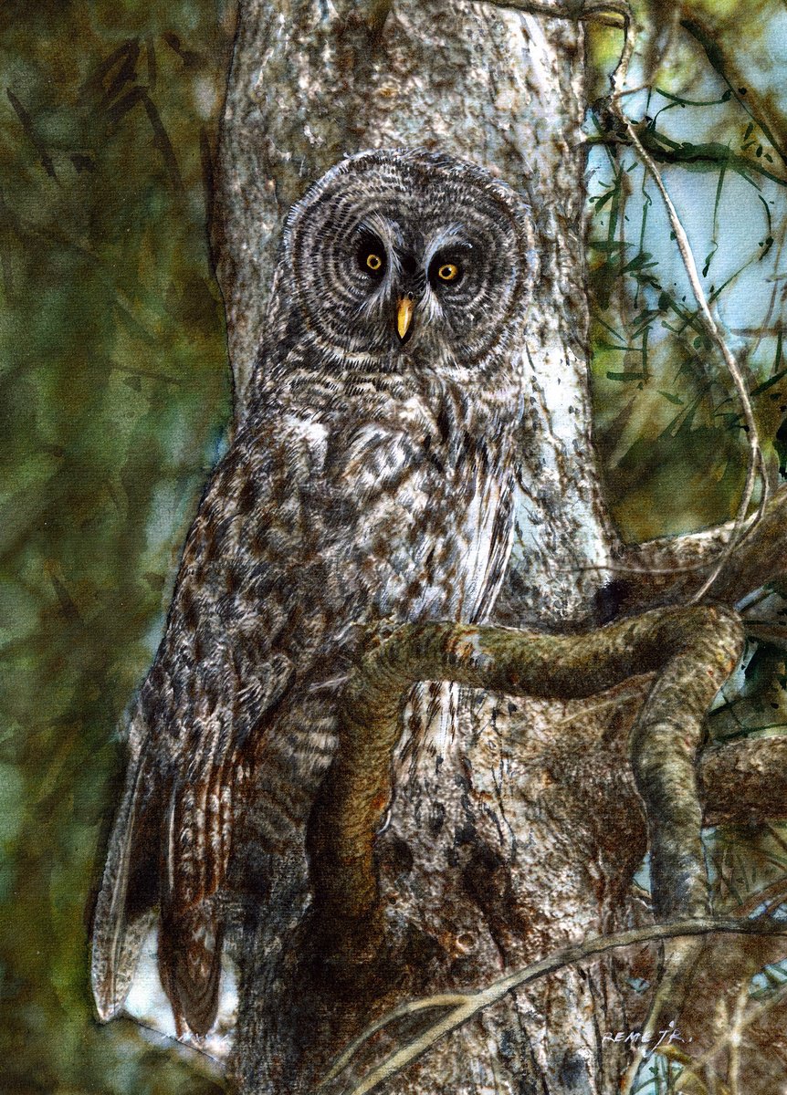 Photorealistic Animal Watercolour By Reme Jr., 10 X 14", Owl, Original Artwork