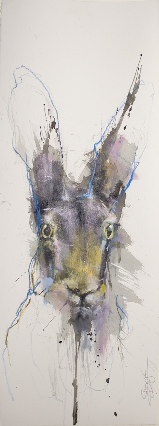 Hare portrait, portrait de lièvre