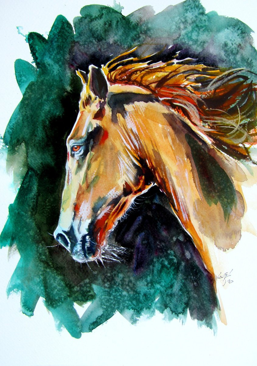 Impressionistic Animal Watercolour By Kovacs Anna Brigitta, 10 X 14", Majestic Horse, Original Artwork