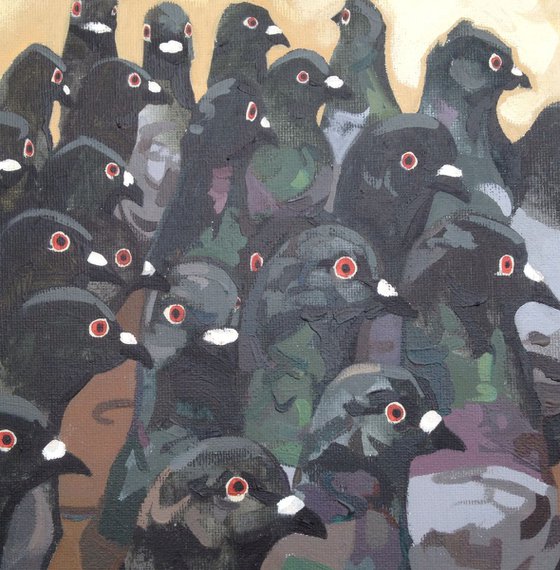 A Loft of Pigeons