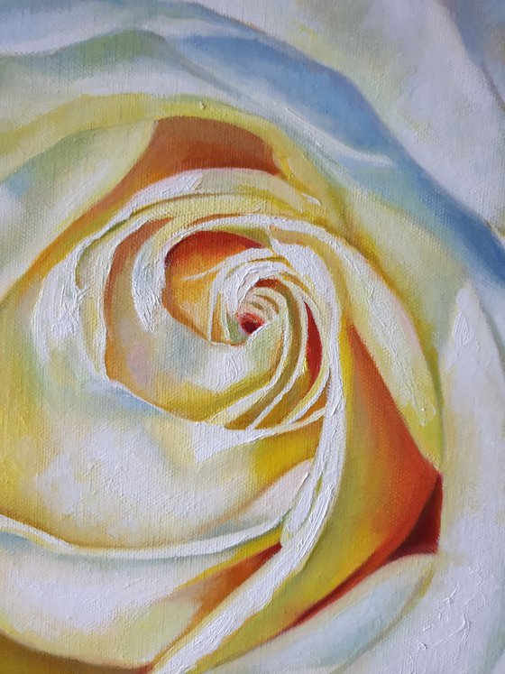 "In a white dress"  rose flower  liGHt original painting  GIFT (2021)