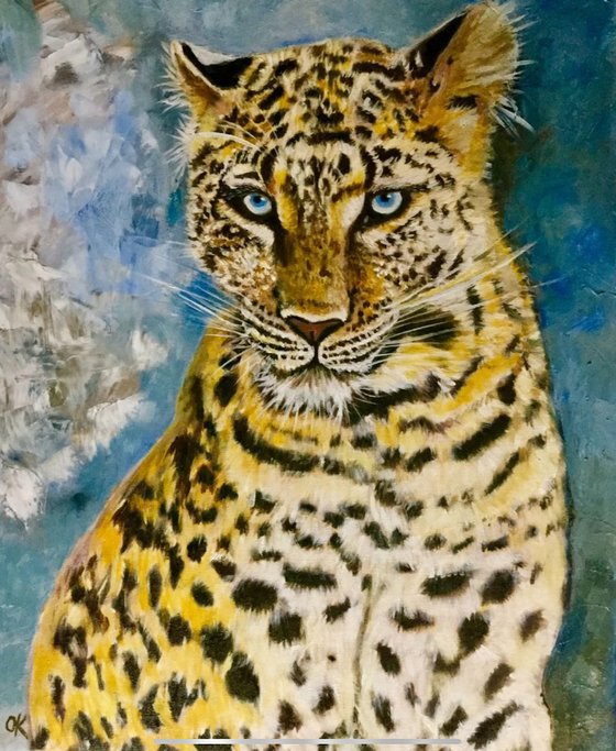 Leopard . Blue  eyes.