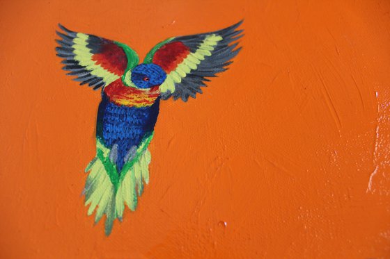 Rainbow Lorikeets in Flight