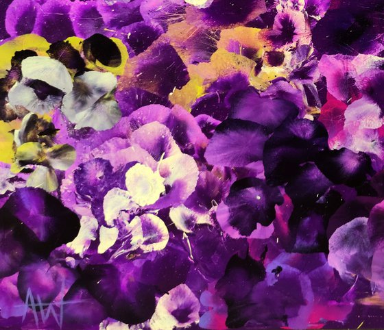 Violet Drift