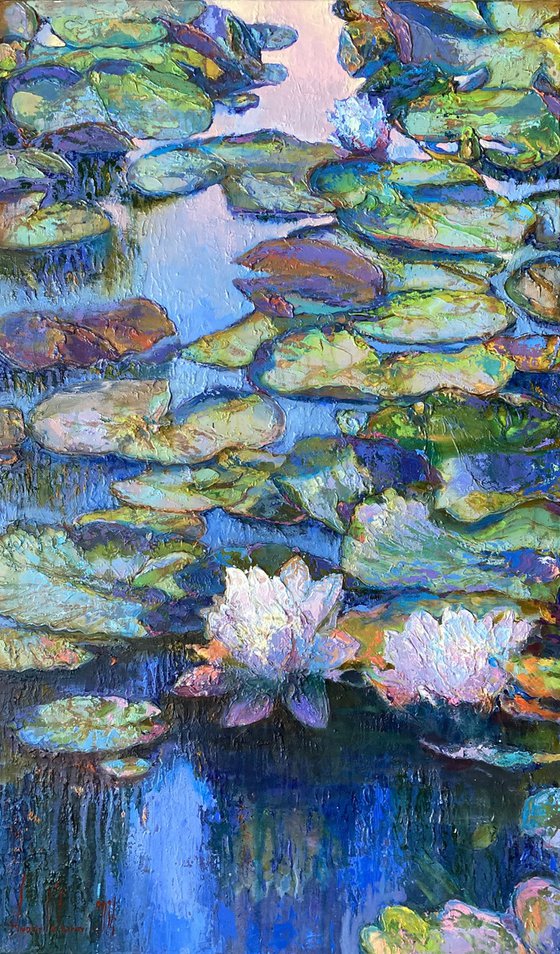 Whispers of Water Lilies