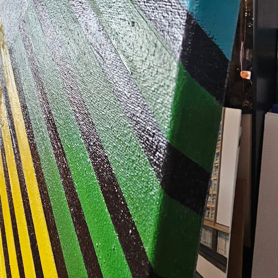 Rainbow Chrysanthemums