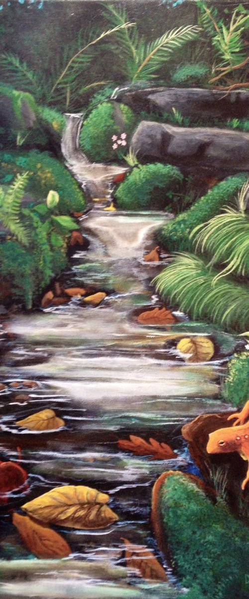 Salamander Spring by Donna Daniels