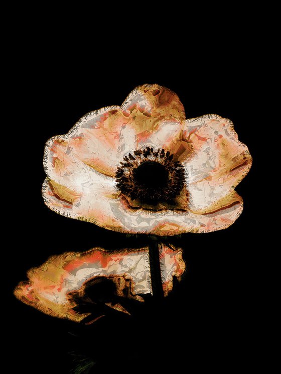Tres flores blanca