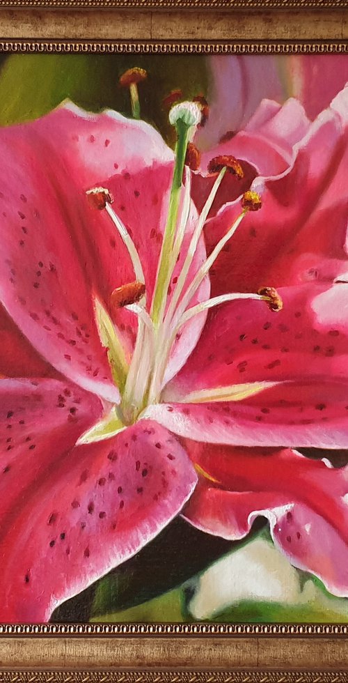 "Oh, lily ..."  pink red flower lily liGHt original painting  GIFT (2021) by Anna Bessonova (Kotelnik)