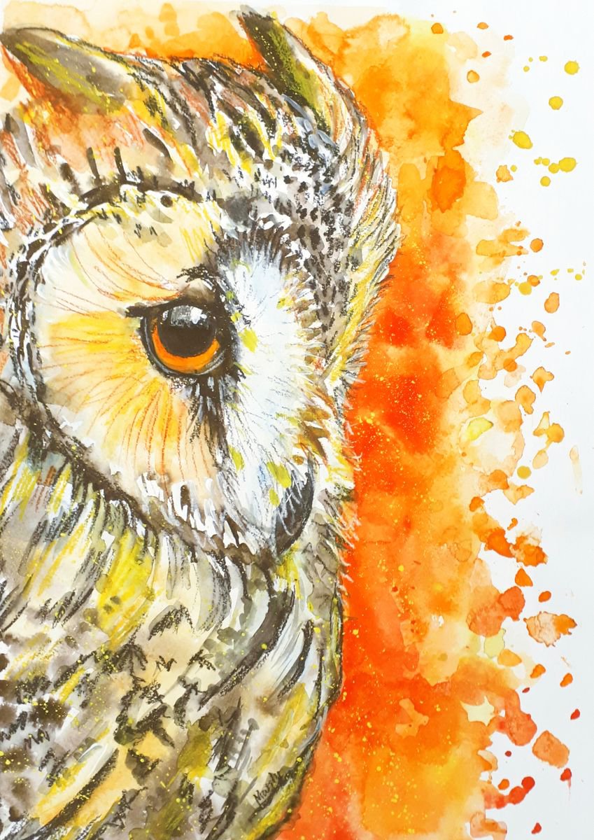 Autumn owl by Marily Valkijainen