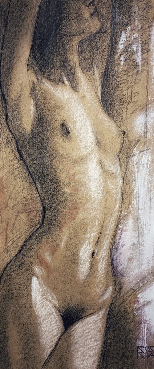 Female nude by Vincenzo Stanislao