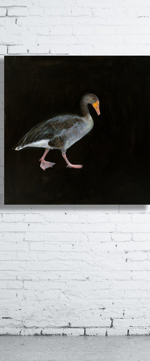 Aubrey the Greylag Goose by Anna Lockwood