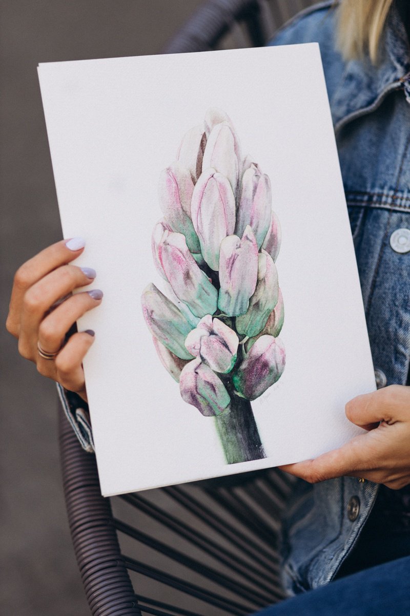 Photorealistic Botanical Watercolour By Alona Hryn, 8 X 12, The Hyacinth From Keukenhof, Original Artwork