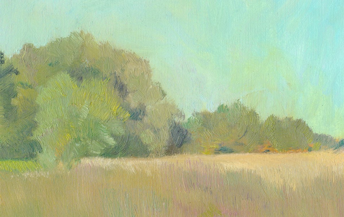 Field (Norton Fitzwarren) by Adam Grose MA RWAAN