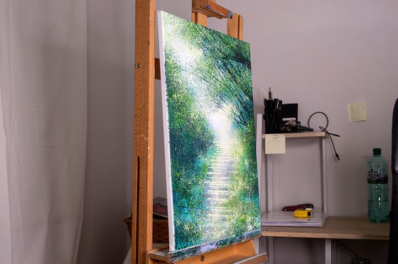 Forest Path In Spring