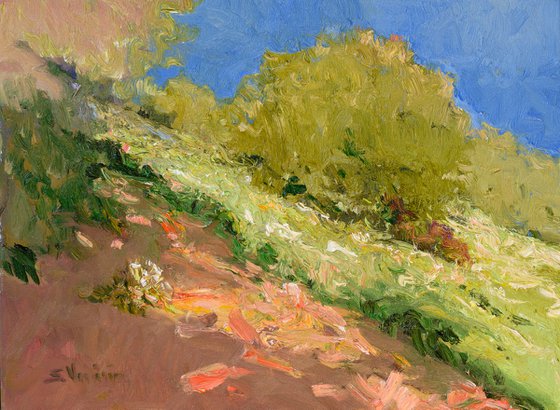 Summer Meadow. HIllside