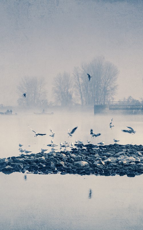 Islet of seagulls. by Valerix