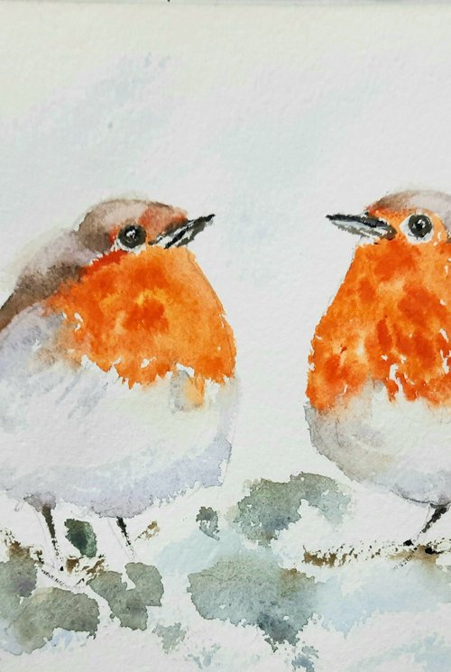 Two fluffy Robin birds by Asha Shenoy