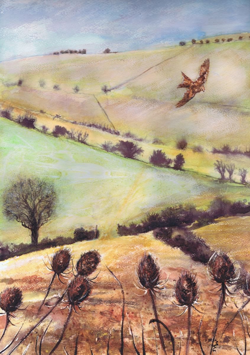 Ridgeway and Red Kite Mixedmedia painting by Michele Wallington