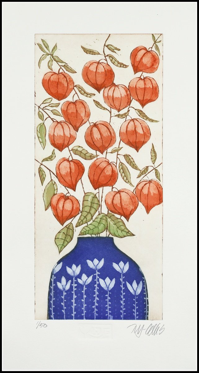 Illustrative Botanical Etchings & Engravings By Mariann Johansen-Ellis, 10 X 18", Chinese Lanterns, Original Artwork
