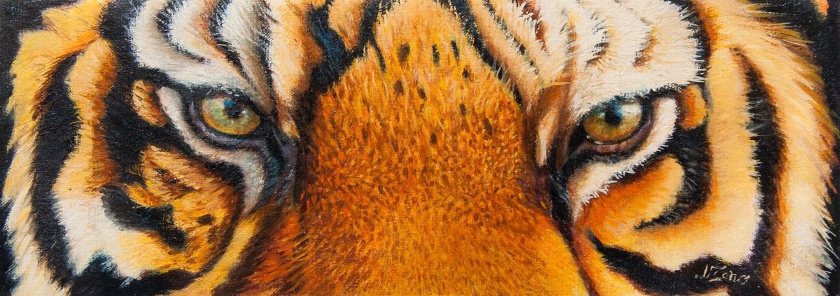 Tiger eyes by Norma Beatriz Zaro