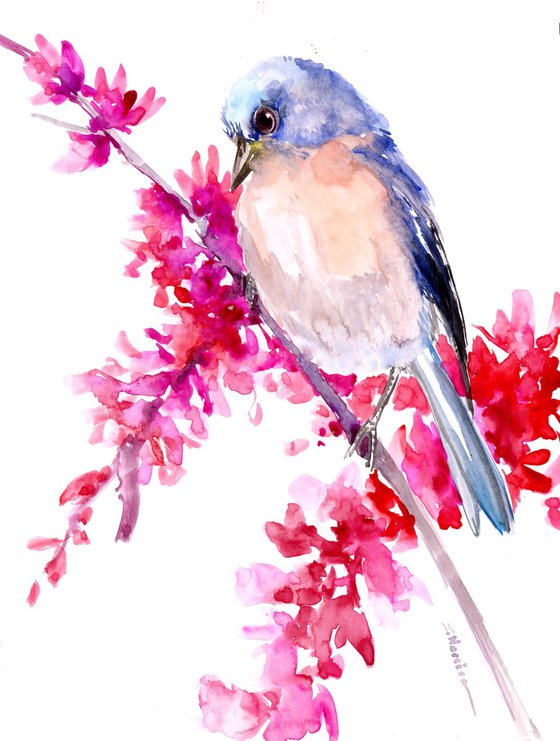 Bluebird and Spring Blossom