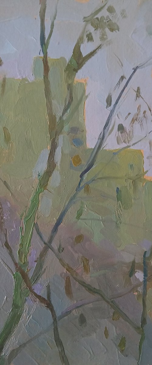 Spring Through the Branches by Vasyl Koval