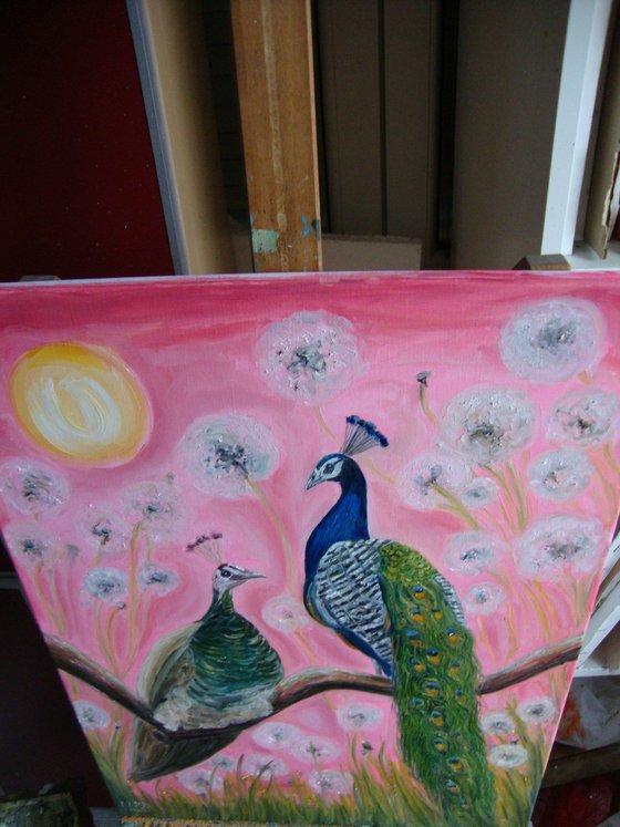 Pair of peacocks