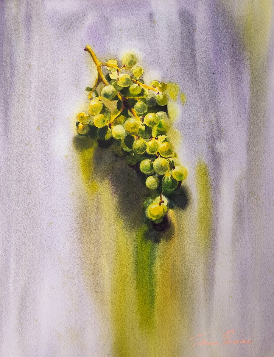 Grapes by Tatiana Paravisini