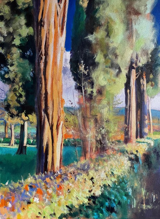 Montalcino 5